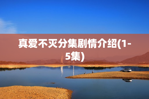 真爱不灭分集剧情介绍(1-5集)