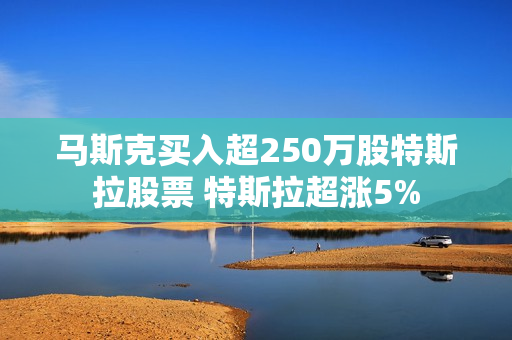 马斯克买入超250万股特斯拉股票 特斯拉超涨5%