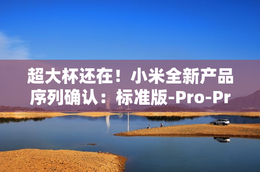 超大杯还在！小米全新产品序列确认：标准版-Pro-Pro Max-Ultra