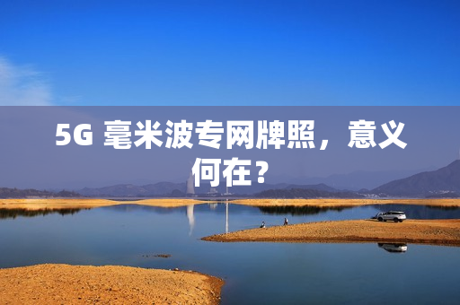 5G 毫米波专网牌照，意义何在？