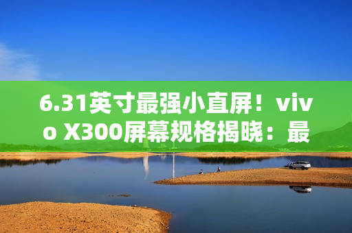 6.31英寸最强小直屏！vivo X300屏幕规格揭晓：最窄四等边+超声波指纹2.0