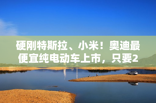 硬刚特斯拉、小米！奥迪最便宜纯电动车上市，只要23.59万元！