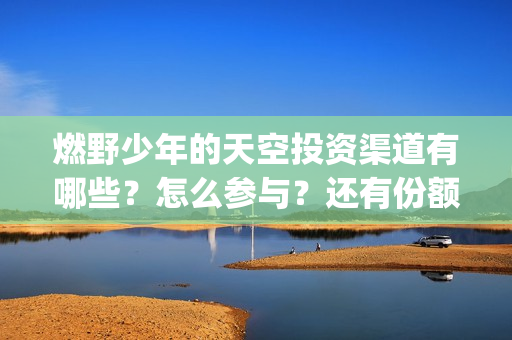 燃野少年的天空投资渠道有哪些？怎么参与？还有份额吗？(燃野少年的天空电视剧免费观看全集)