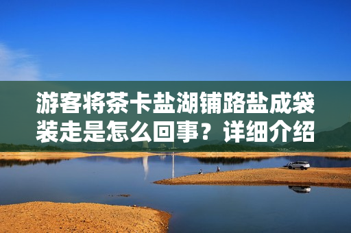 游客将茶卡盐湖铺路盐成袋装走是怎么回事？详细介绍