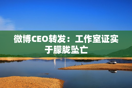 微博CEO转发：工作室证实于朦胧坠亡