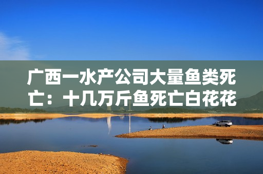 广西一水产公司大量鱼类死亡：十几万斤鱼死亡白花花铺满鱼塘