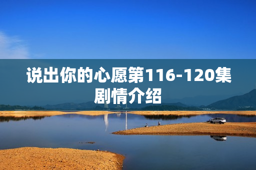 说出你的心愿第116-120集剧情介绍