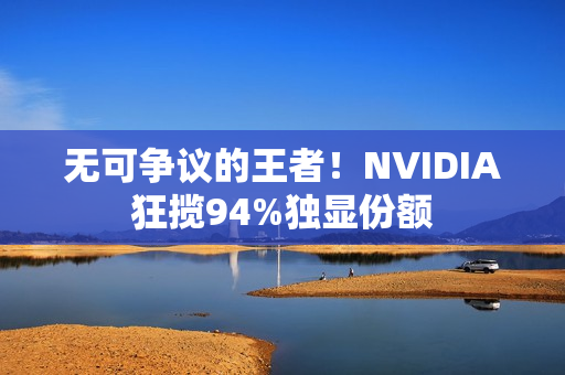 无可争议的王者！NVIDIA狂揽94%独显份额