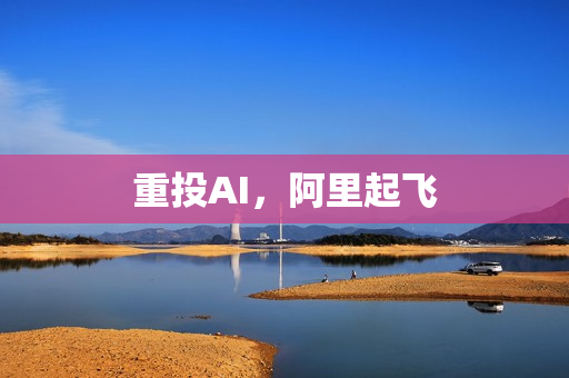 重投AI，阿里起飞