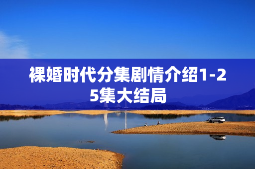 裸婚时代分集剧情介绍1-25集大结局