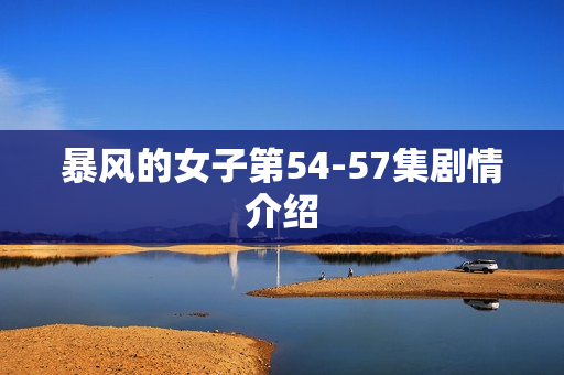 暴风的女子第54-57集剧情介绍
