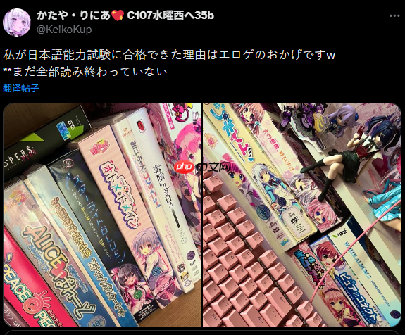 玩家分享高效学习日语动力引热议 玩成人游戏成功通过等级测试