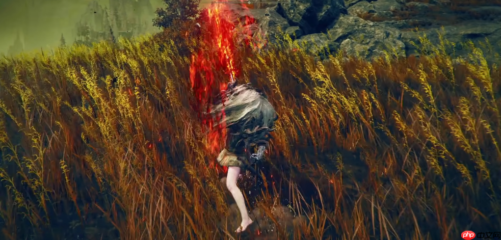 火焰穿刺战技解析：撕裂战场的双重烈焰舞步