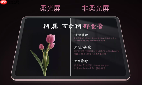 国补价1709.1元起！OPPO Pad Air5首销：支持插SIM卡