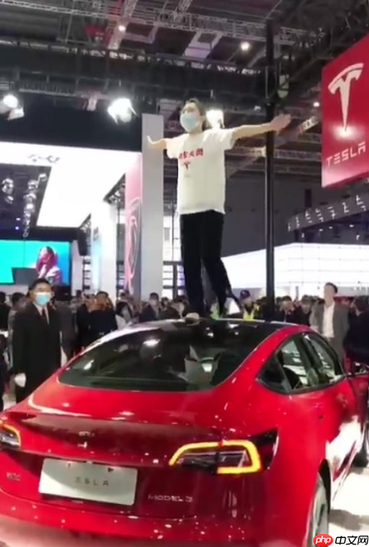 特斯拉“车顶维权”女车主回应被限制高消费:名誉权案件已向法院申请再审