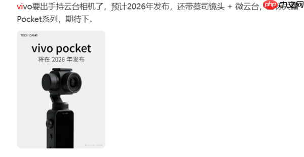 OPPO、vivo们排队进入Pocket赛道 手机不香了？