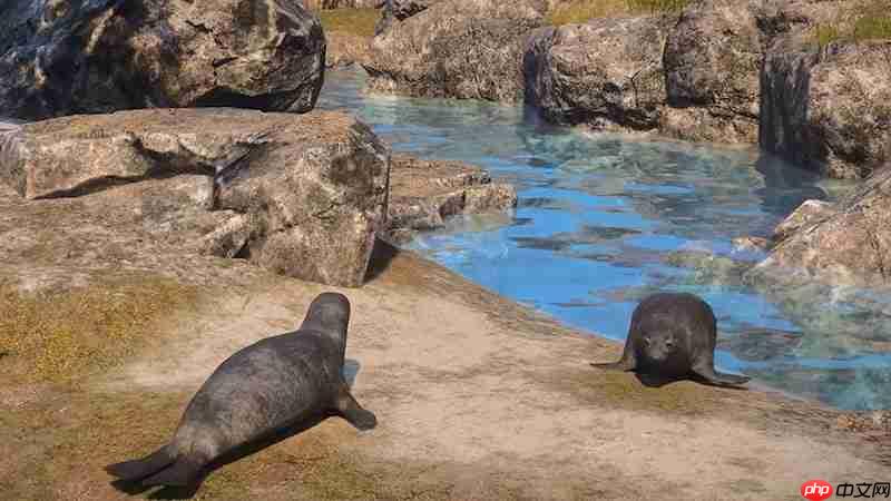 颂钟长鸣大型更新概览:全新生物登陆哈尔玛尔群岛