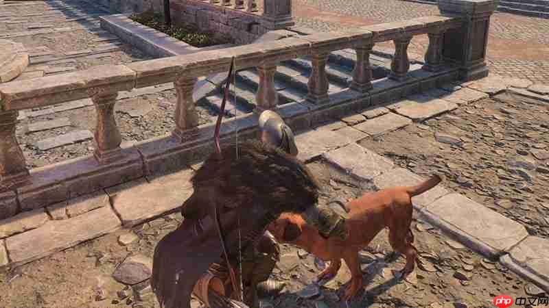 颂钟长鸣大型更新概览:全新生物登陆哈尔玛尔群岛