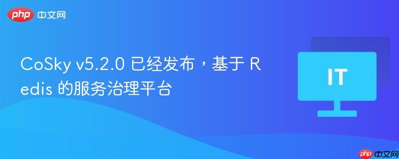 CoSky v5.2.0 已经发布，基于 Redis 的服务治理平台