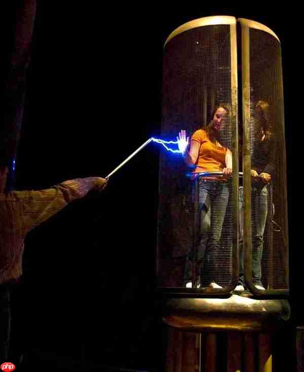 手机放电饭锅里 抢票成功率就会变高?