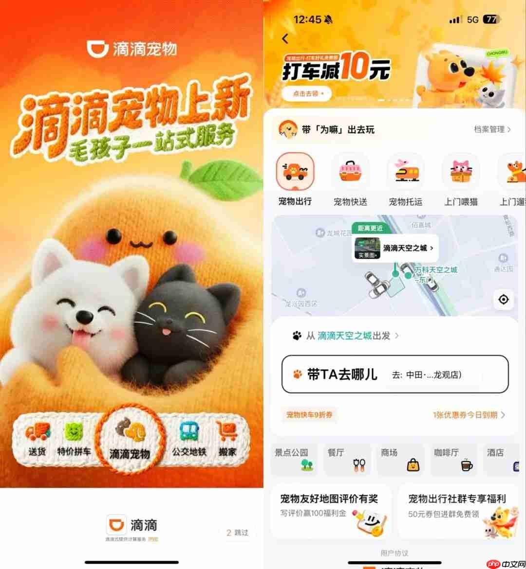 滴滴上线“宠物服务”,涵盖出行、上门喂遛和洗护等