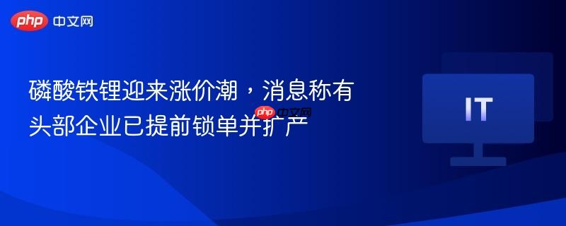 磷酸铁锂迎来涨价潮，消息称有头部企业已提前锁单并扩产