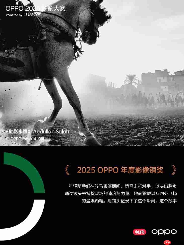 点亮感动时刻  OPPO 2025影像大赛获奖作品正式公布
