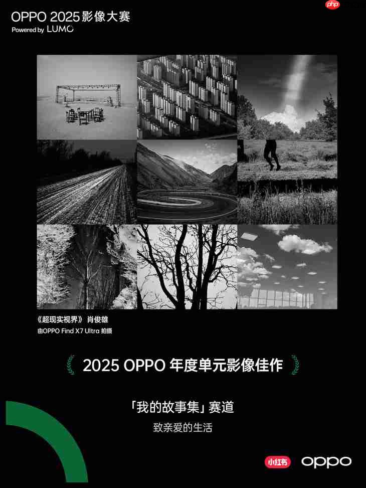 点亮感动时刻  OPPO 2025影像大赛获奖作品正式公布