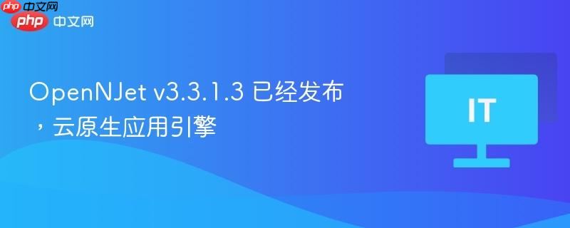 OpenNJet v3.3.1.3 已经发布，云原生应用引擎