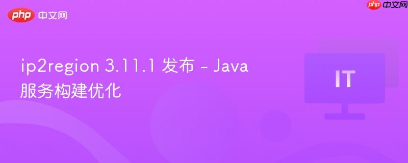 ip2region 3.11.1 发布 - Java 服务构建优化