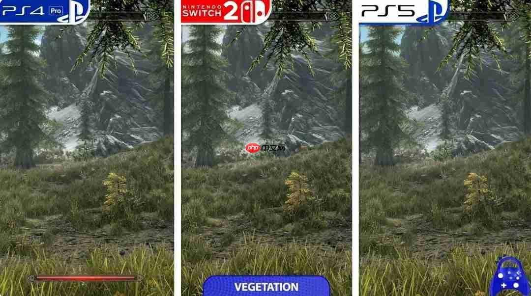 《上古卷轴5》PS与NS2平台对比 NS2版本画质提升性能灾难