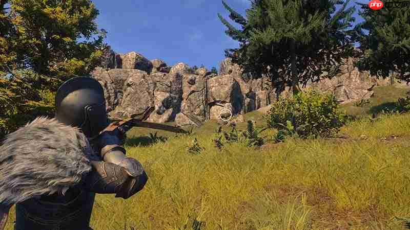 《颂钟长鸣》大型更新概览：新武器、装备与战斗系统