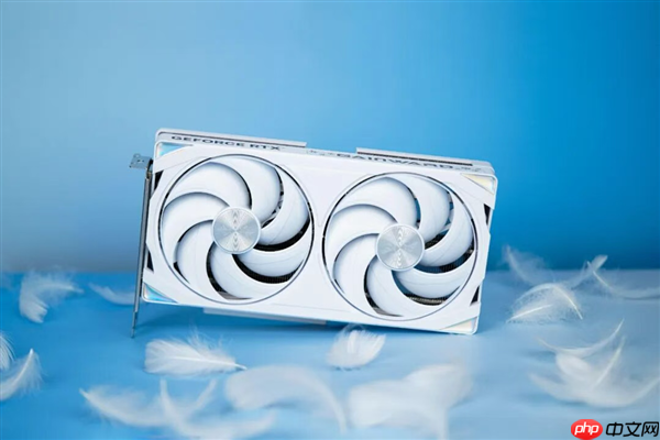 戴维·琼斯《DAVY x JONES》耕升RTX 5060 踏雪 OC海盗冥界冒险