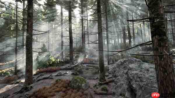 双十二装备升级指南：华硕RTX50系显卡选购攻略