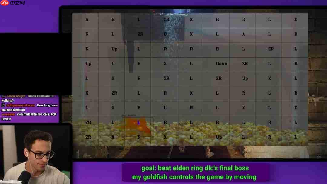 真神陨落 那条击败了《黄金树幽影》最终BOSS的金鱼去世了