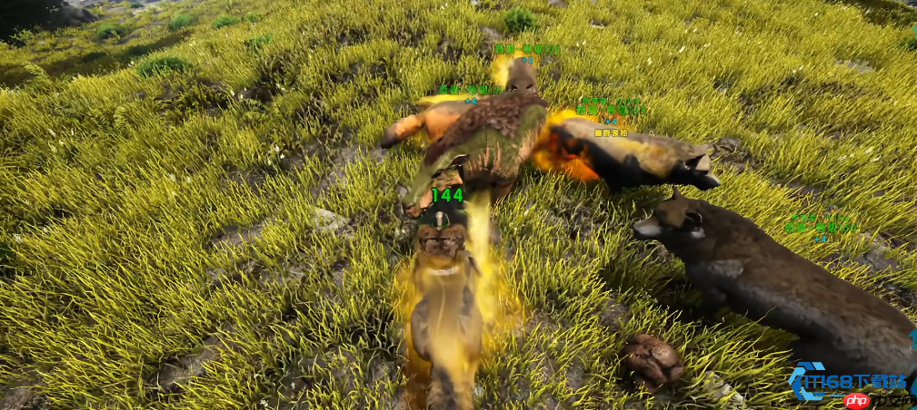 驯服恐狼组建无敌狼群：全面解析实用战斗与探索技巧