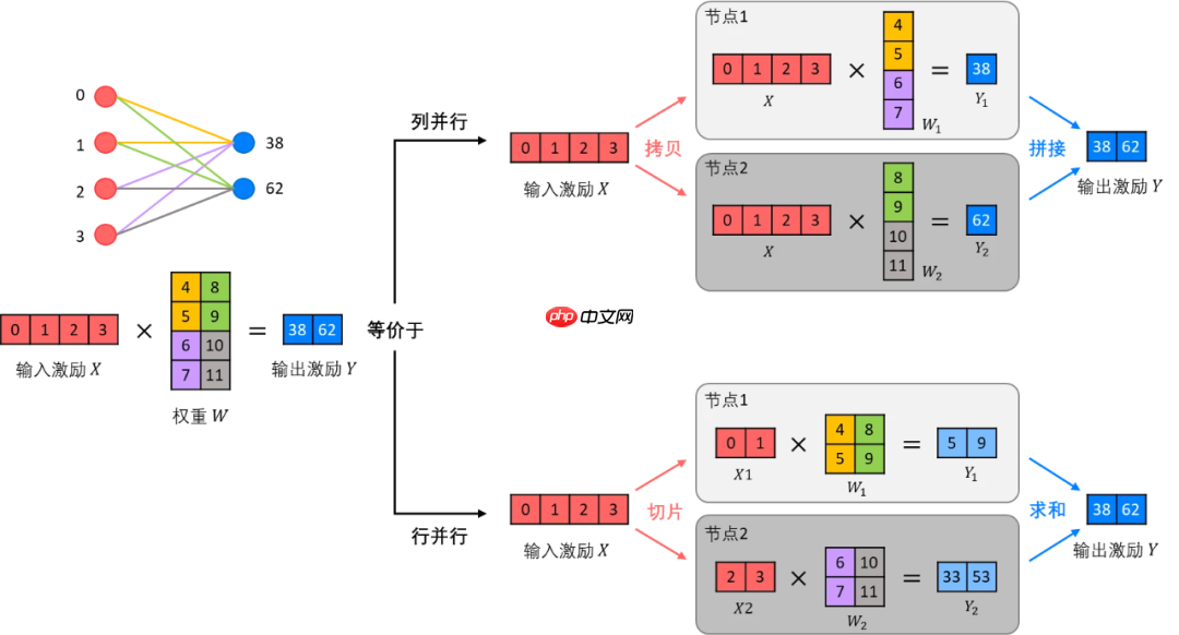 一文看懂 AI 大模型的并行训练方式（DP、PP、TP、EP）
