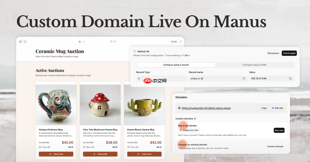 Manus 正式上线自定义域名功能