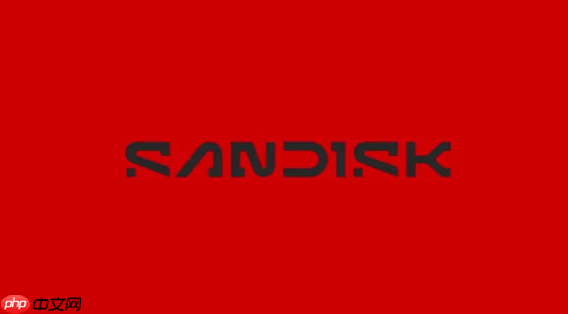 闪迪寻求力积电合作：计划NAND闪存产能外包