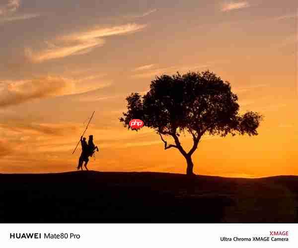 何刚晒华为Mate 80系列实拍样张：红枫影像色彩表现一绝