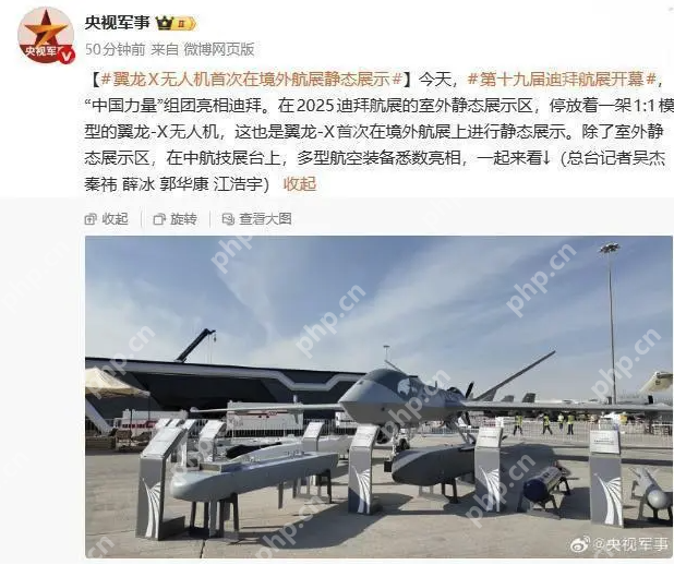 迪拜航展再添“中国力量”，翼龙-X与C919联袂亮相 - php中文网