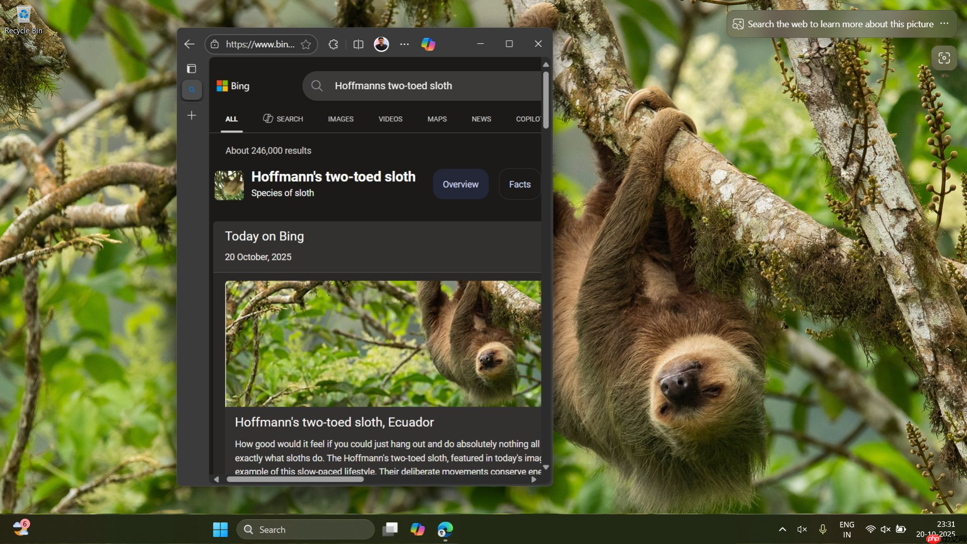Windows 11 已沦为微软产品的销售渠道