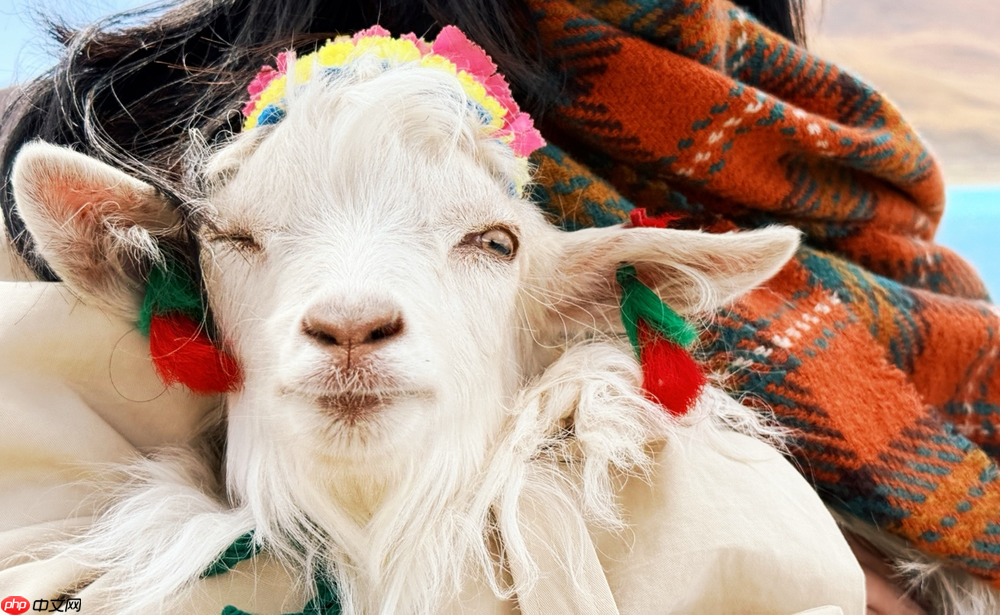 以青春之名赴西藏之约,高原之上留下“一生不忘”的青春回响