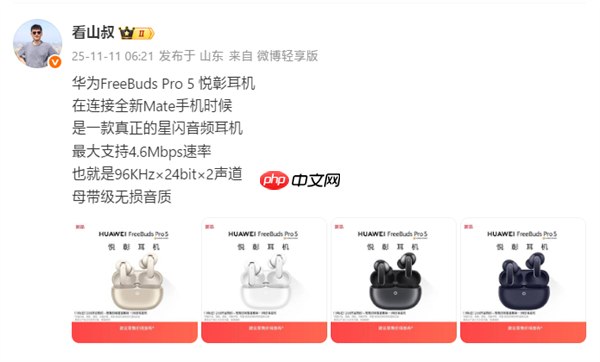 华为FreeBuds Pro 5获星闪L2HC编解码认证!支持4.6Mbps无损音质