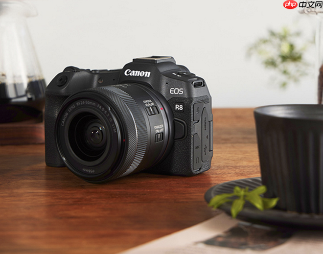 2025年全画幅微单推荐:佳能R8,你的万元以内全画幅创作伙伴