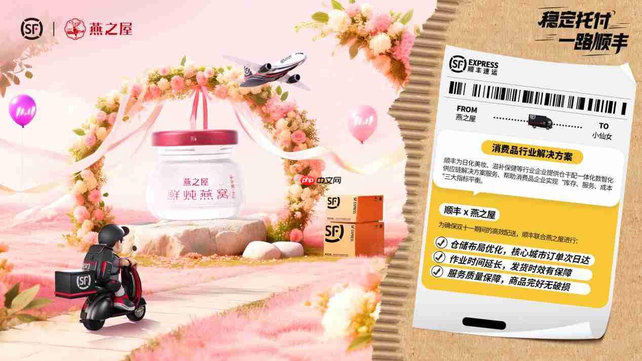 助力品牌迎战双·十一高峰，顺丰智慧供应链重塑电商物流体验