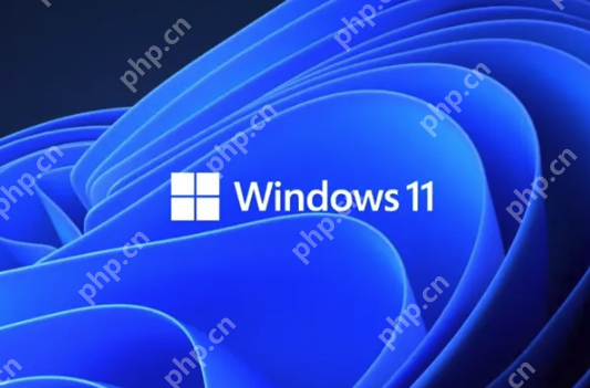 Win11第三方工具Flyoobe遭黑客篡改：伪造官网植入木马 - php中文网