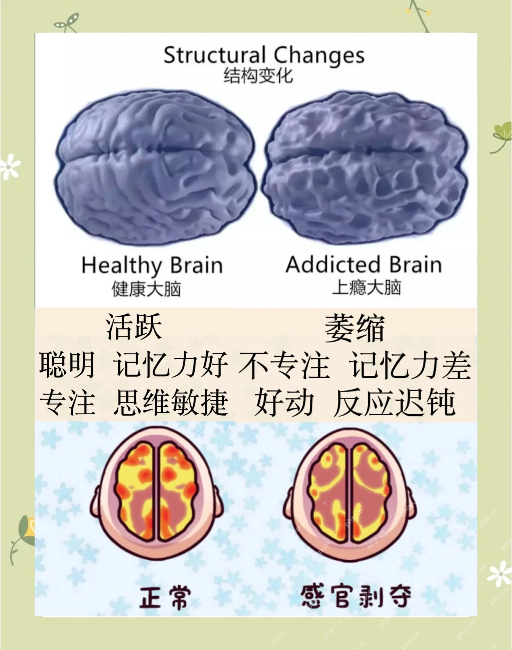 运动与电子屏幕使用方式影响青少年大脑发育 - php中文网