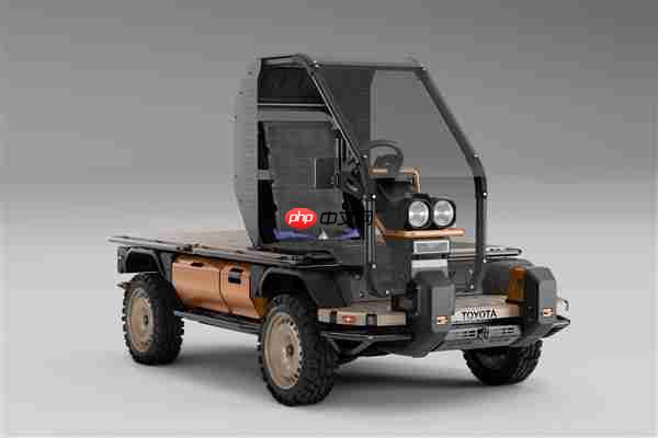 有手就能修 丰田推出极简全地形四驱卡车:专为非洲造