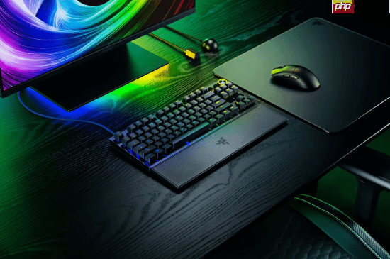 1999 元雷蛇猎魂光蛛 V3 专业版 8KHz 系列键盘发布:第二代 Razer 模拟光轴,人造皮革腕托 + 双色注塑 PBT 键帽